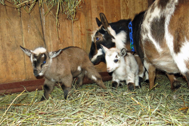 Chloe with and her girls